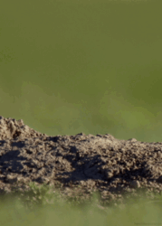 c04edd54-56ec-472f-ac14-12b1ef368086