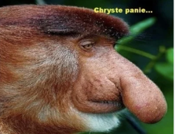 04bd618b-af8e-4099-a5fe-85a3e64248a5