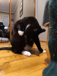 6dc16686-43c0-4c7f-afb4-a32947b56e4b