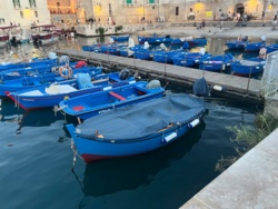 57c9564c-e11f-406e-b5fa-d437ff08c872