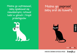 a2f00f90-b7ec-49f4-a41f-c534b7e190ec