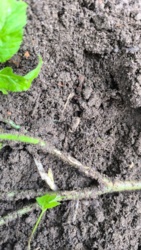 d3d00be1-48bf-4fc7-b75c-05738eaac3ae