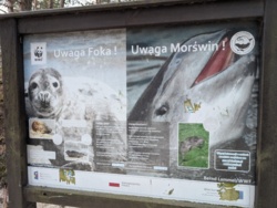 da4f6ed4-f6a3-41b0-96ed-a6b3c93e2333