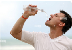 c8e4d2ba-02a7-416c-961c-ff326fc92d4e