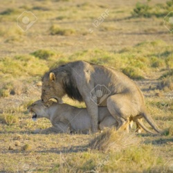 20bfe6c8-240f-487d-b0b2-fe988eec1ce9