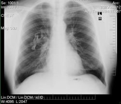 18204c38-2f73-4e58-8a87-b37086485bf6