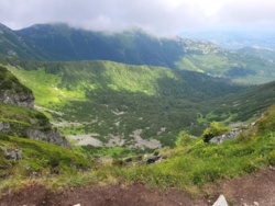 8a00f770-ba5e-46ac-8900-1d8e36ba1555