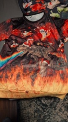 b17fcfe4-df1b-4199-8d89-2e545dec638e