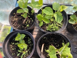 47695011-fddd-4250-9b5e-a27068574c20