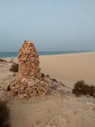 4441c5b8-2d05-412f-88d9-5add221a645a