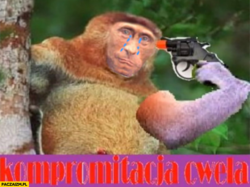 0b2da7c5-2c52-409f-aa6b-b12c2907dce5