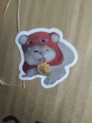 add1e81f-95ae-4966-93f8-45c39afc247c