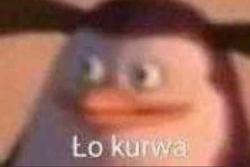 cdcef1f1-b3c3-4bf9-8996-62447450a3dd