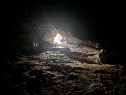 a6535530-163e-484b-9517-a9cf705dbc05