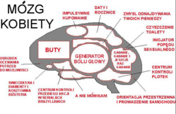 a9294eeb-ea43-4c52-ad14-2c1dcef04d29