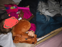 6edac253-8f3c-4395-9b11-b9aa08fb982d