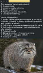 aa137736-57e8-4c40-a66e-e63ec47726dd