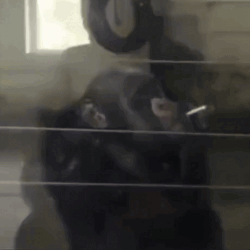 5bebabe4-7d82-4057-bc30-5945a0bfc91c