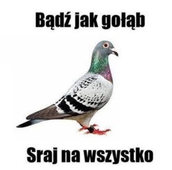 9bd0fd8b-33b3-42e4-851e-f8825f18e636