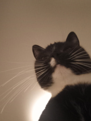 e6bde123-3deb-4dbb-a6e8-ca69b39196ab