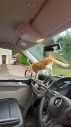 3f6a239a-39ed-4141-9ef1-8e118090b68a