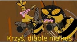 24a5b013-c80b-46f6-9f17-d4954e4a522e