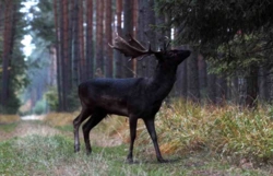 dd037e3c-f557-4427-a7f0-d6501091b7c0