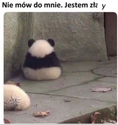 05d4b298-ea7b-43d0-a3c2-4d1db526d5d9