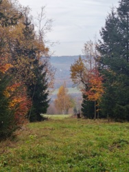 358065ba-665e-4df1-af71-b281cfb06518