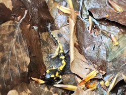 7840748c-d23e-4ae7-9c65-0638c5202afd