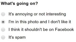 eccc939a-f437-44ae-abf2-c5413a4c7338