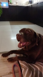 78fcad81-bcf1-484c-8c4f-602a75ad3b40