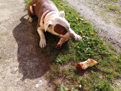 fb03d827-5e62-4724-b289-c9ed7e6ff405