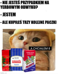 9c16f6a2-d08a-44d7-858d-8900913258eb