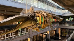 6e095bcf-470b-4d2d-bb4f-4d140455ae00