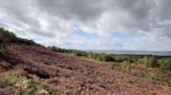 6ce8cb7e-b019-4c37-a25f-04892cba49b7