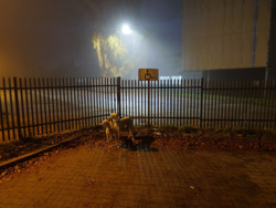 aff77e0c-b332-482b-b511-99dacf68e25f