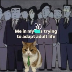 0a56bb23-b09a-4749-8c08-74b6da6cb021