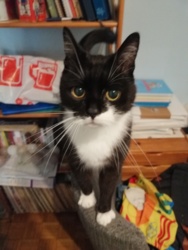 803ece89-dbbe-4cec-ba8f-2a71e5126b22