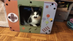 448f2c6b-8a93-4653-b5b5-422d2d4ac5cb