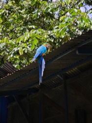 f61286d4-59b7-4847-bd5d-9bc0ef5b2124