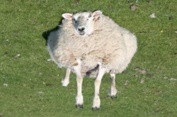 413bcef8-8613-47c8-a346-991ba206cadc