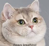 34e20c36-750b-4106-8ea3-a6c240f50ccd