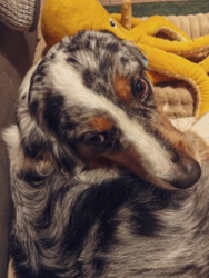 4791f55d-37c8-4bb8-9edd-4b91c7338b2f