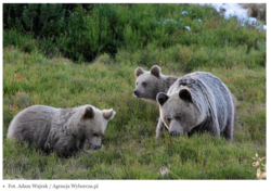 c4dbb552-a886-4968-9fc5-4dcf9cf95aef