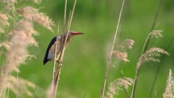 0a23e8f2-a9d4-4229-98c5-520ae9b06ae3