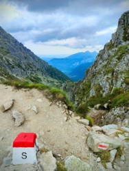 dfe6f9fd-607f-4cd9-92da-12b37dcb13e8