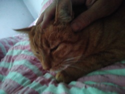 a949727f-2544-4d22-9436-720c44cab62b