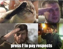 bec0a03b-e38a-4411-87c5-203694fb30d2