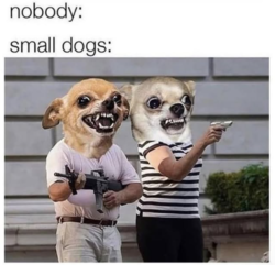 ff5bee27-b784-4697-be91-73cd9db64ce2